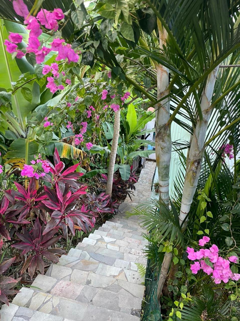 La Casita Ilohe Villa Riviere-Salee Bagian luar foto